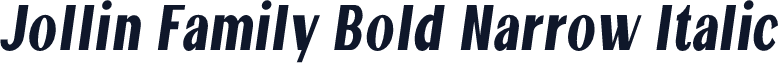 Jollin Family Bold Narrow Italic
