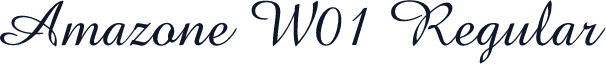 Amazone W01 Regular