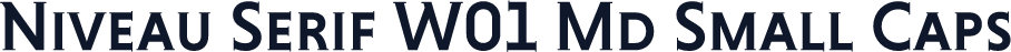 Niveau Serif W01 Md Small Caps