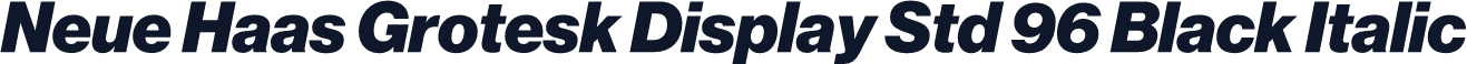 Neue Haas Grotesk Display Std 96 Black Italic
