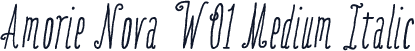 Amorie Nova W01 Medium Italic