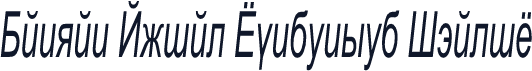Danzan Arial Condensed Italic