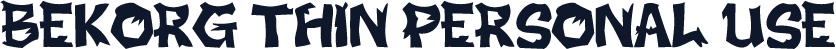 BEKORG THIN PERSONAL USE