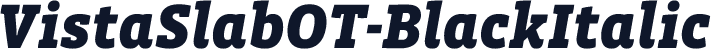 VistaSlabOT-BlackItalic