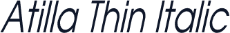 Atilla Thin Italic