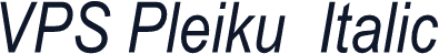 VPS Pleiku  Italic