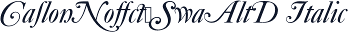 CaslonNo540SwaAltD Italic