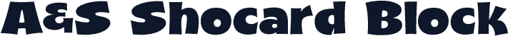 A&S Shocard Block