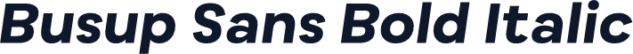 Busup Sans Bold Italic
