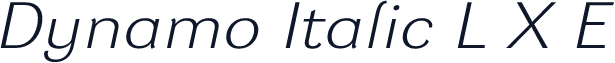 Dynamo Italic L X E