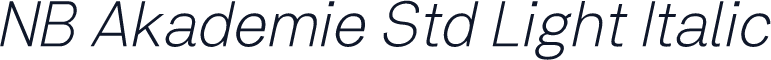 NB Akademie Std Light Italic