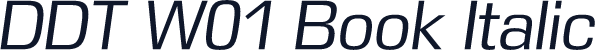 DDT W01 Book Italic