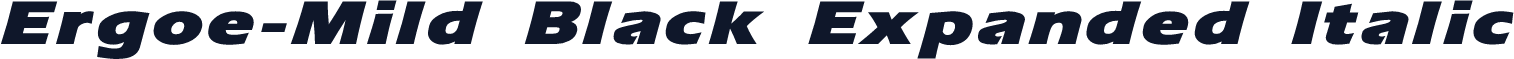 Ergoe-Mild Black Expanded Italic