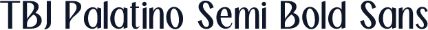 TBJ Palatino Semi Bold Sans