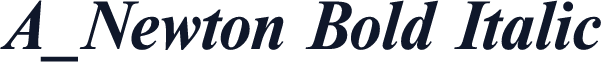 A_Newton Bold Italic