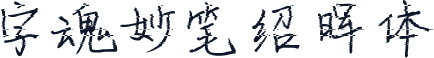 字魂妙笔绍晖体