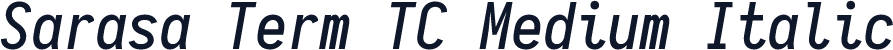Sarasa Term TC Medium Italic