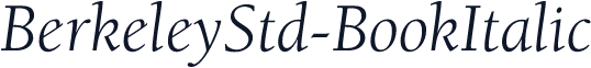 BerkeleyStd-BookItalic