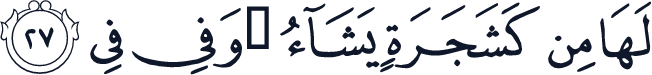 QCF_P259