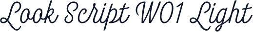 Look Script W01 Light