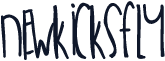 NewKicksFly