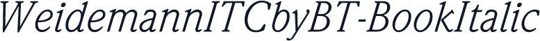 WeidemannITCbyBT-BookItalic
