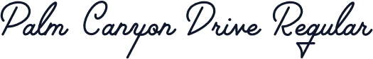 Palm Canyon Drive Regular