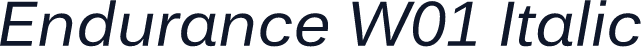 Endurance W01 Italic