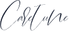 Caretune