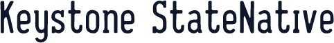 Keystone StateNative