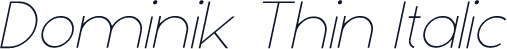 Dominik Thin Italic