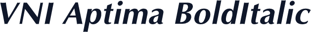 VNI Aptima BoldItalic