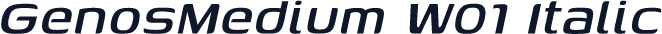 GenosMedium W01 Italic