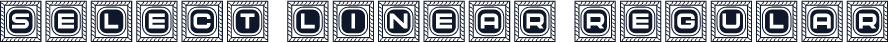 Select Linear Regular