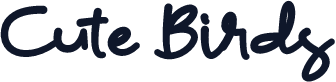 Cute Birds