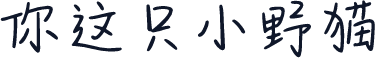 你这只小野猫