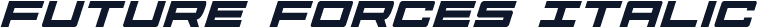 Future Forces Italic