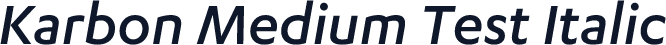 Karbon Medium Test Italic