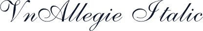 VnAllegie Italic
