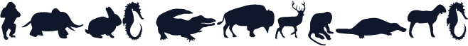 Mers Animals