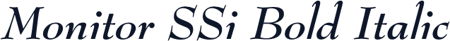Monitor SSi Bold Italic