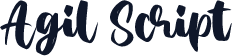 Agil Script
