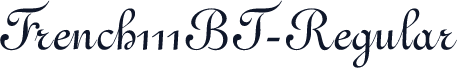 French111BT-Regular