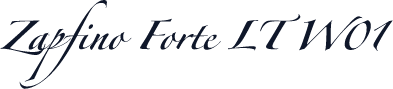 Zapfino Forte LT W01