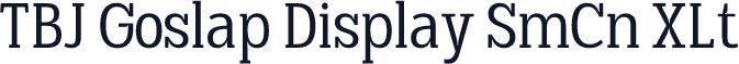 TBJ Goslap Display SmCn XLt