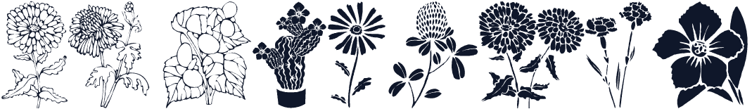 DT Flowers 1