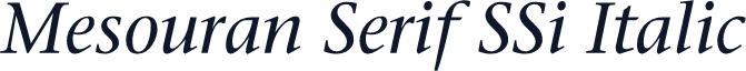 Mesouran Serif SSi Italic