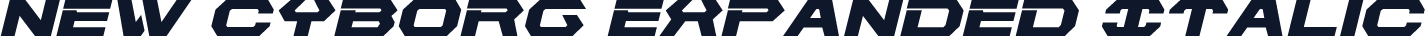 New Cyborg Expanded Italic
