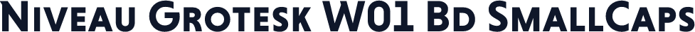 Niveau Grotesk W01 Bd SmallCaps