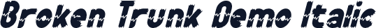 Broken Trunk Demo Italic